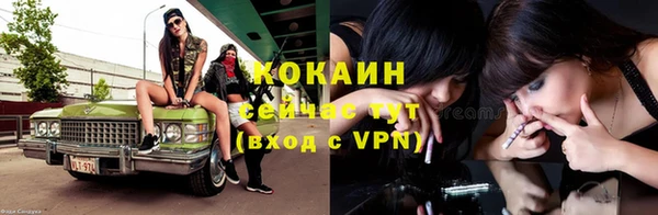дурь Каменка