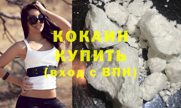 дурь Каменка