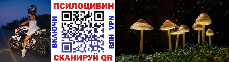 магазин    Кирс  ОМГ ОМГ вход  Галлюциногенные грибы GOLDEN TEACHER 
